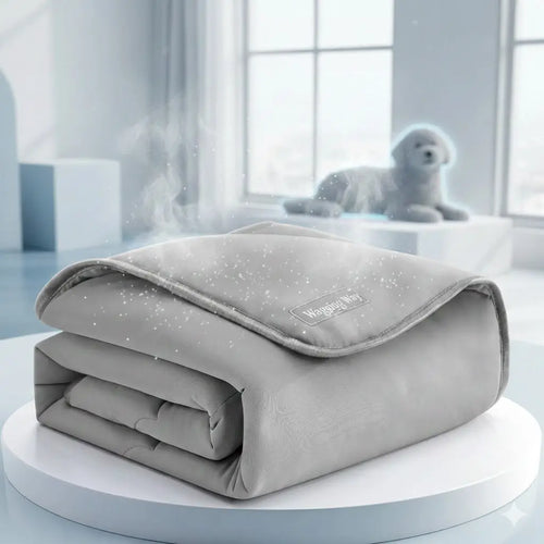 Cooling Blanket - Wagging Way
