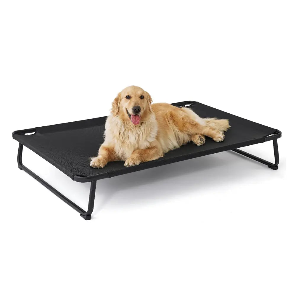 Elevated Cooling Dog Bed Wagging Way