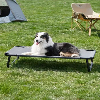 Elevated Cooling Dog Bed Wagging Way