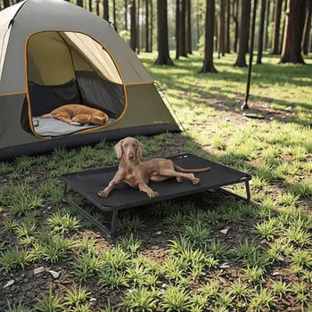 Elevated Cooling Dog Bed Wagging Way