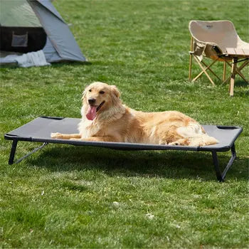 Elevated Cooling Dog Bed Wagging Way