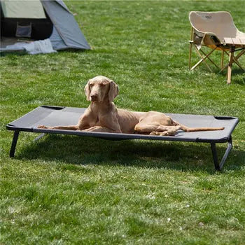 Elevated Cooling Dog Bed Wagging Way