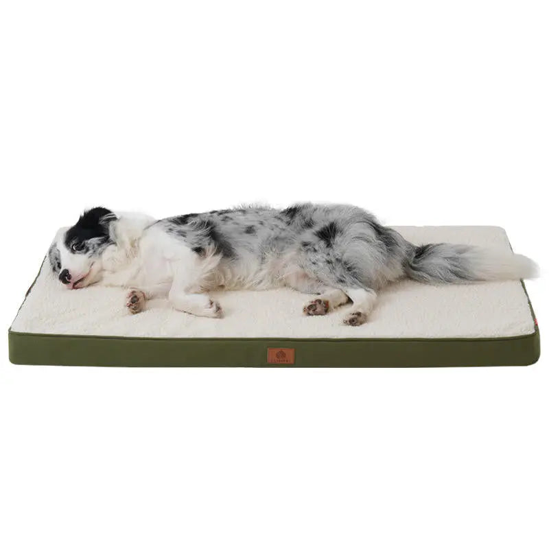 Orthopedic Dog Bed Square Shaped - Wagging Way