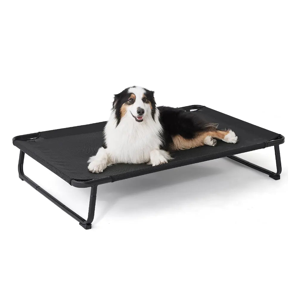 Elevated Cooling Dog Bed Wagging Way